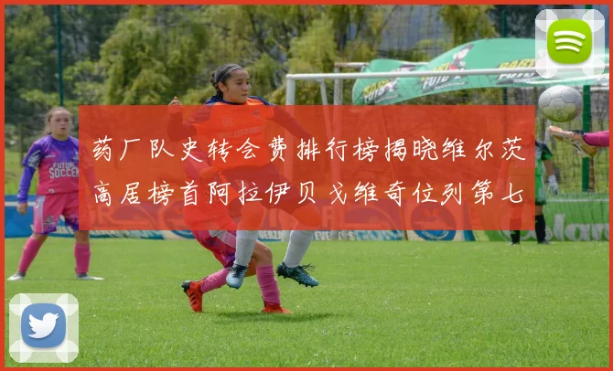 药厂队史转会费排行榜揭晓维尔茨高居榜首阿拉伊贝戈维奇位列第七